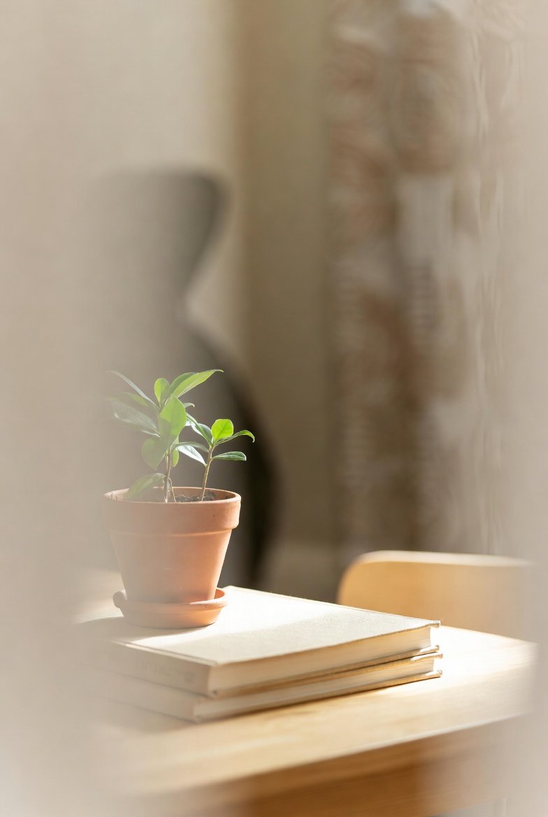 Law of Attraction for Kids